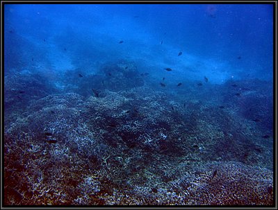 img_6730 (Modifiée).jpg img_6730 (Modifiée).jpg