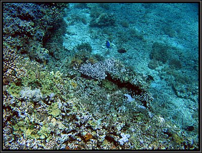img_6735 (Modifiée).jpg img_6735 (Modifiée).jpg