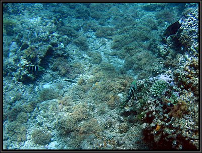 img_6736 (Modifiée).jpg img_6736 (Modifiée).jpg