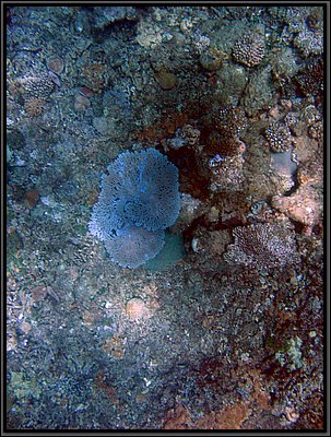 img_6737 (Modifiée).jpg img_6737 (Modifiée).jpg