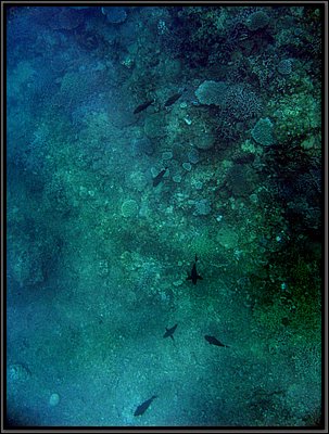 img_6741 (Modifiée).jpg img_6741 (Modifiée).jpg