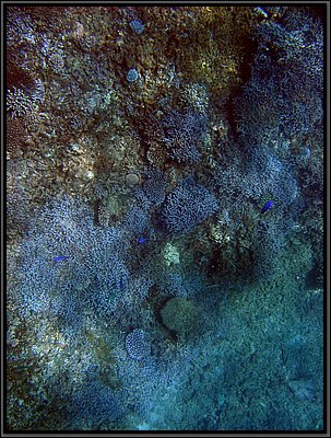 img_6760 (Modifiée).jpg img_6760 (Modifiée).jpg