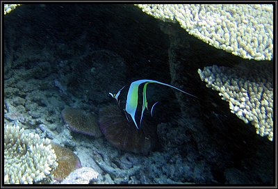 IMG_6887b.JPG IMG_6887b.JPG