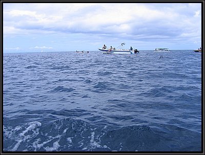 IMG_6975.JPG