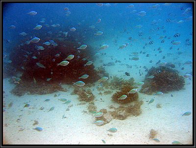 IMG_7021b.JPG