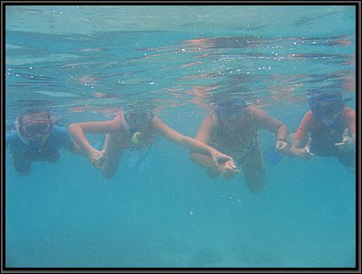 IMG_7035b.JPG