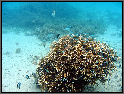 IMG_7039b.JPG
