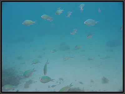 IMG_7052bb.JPG