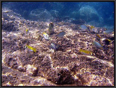 IMG_7080s.JPG