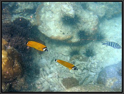 IMG_7089b.JPG