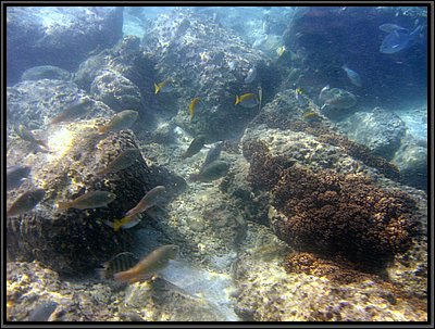IMG_7095b.JPG