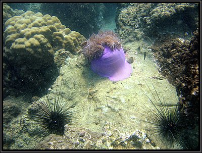 IMG_7122b.JPG
