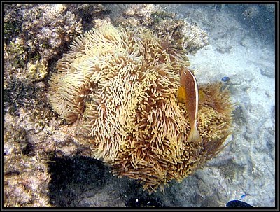 IMG_7223r.JPG