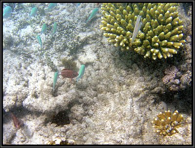IMG_7230r.JPG