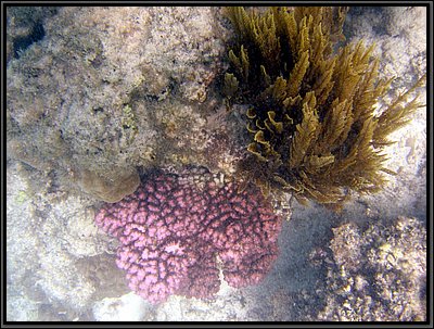 IMG_7234r.JPG