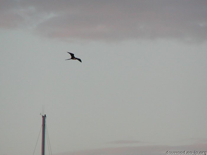 P2154499.JPG