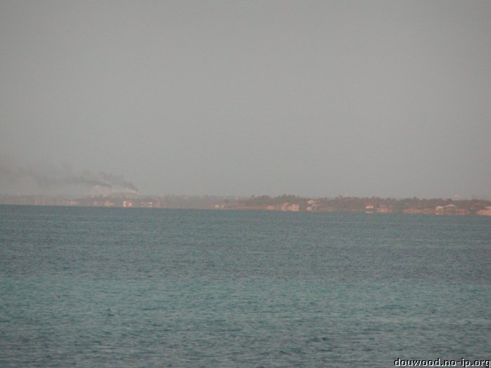 P2154502.JPG