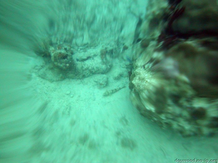 P2154513.JPG