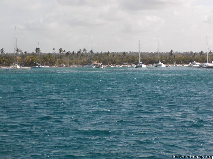 P2154522.JPG