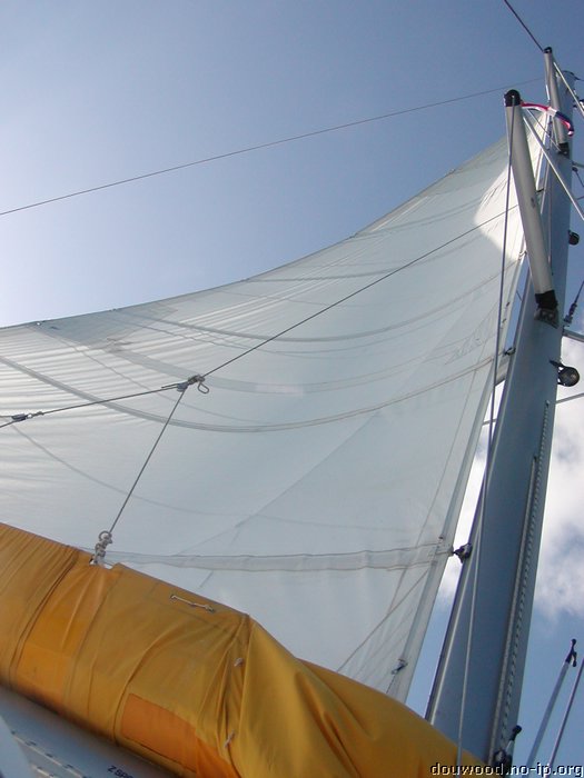 P2154523.JPG