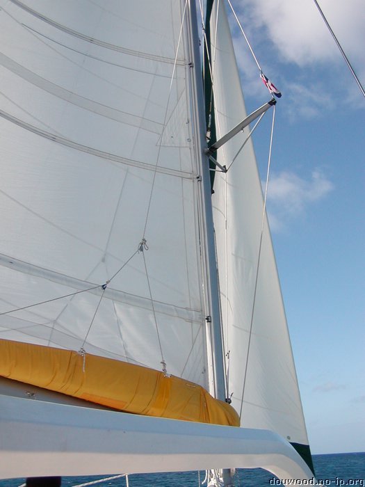P2154525.JPG