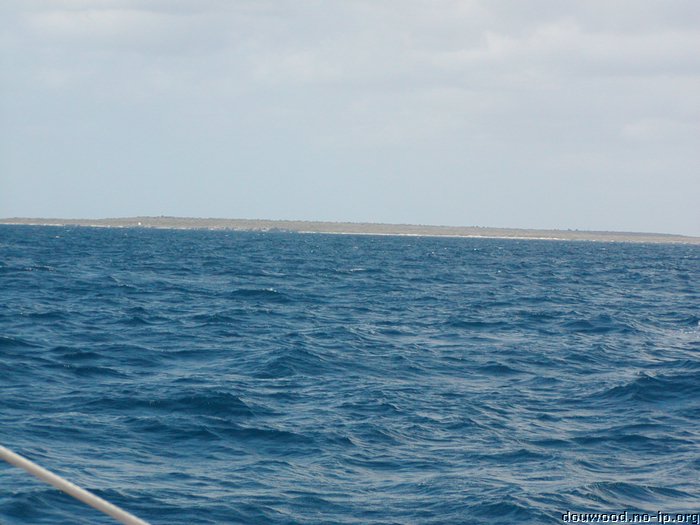 P2154530.JPG