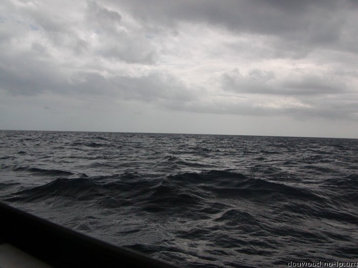 P2154535.JPG