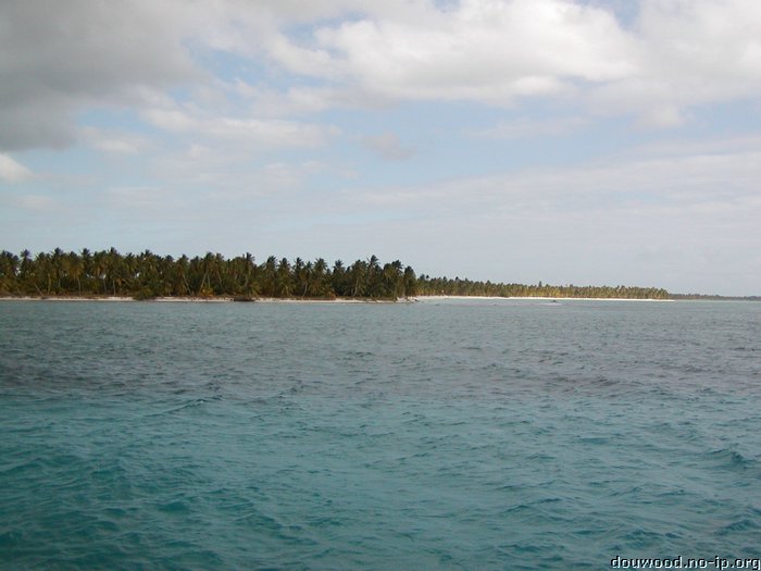 P2154536.JPG