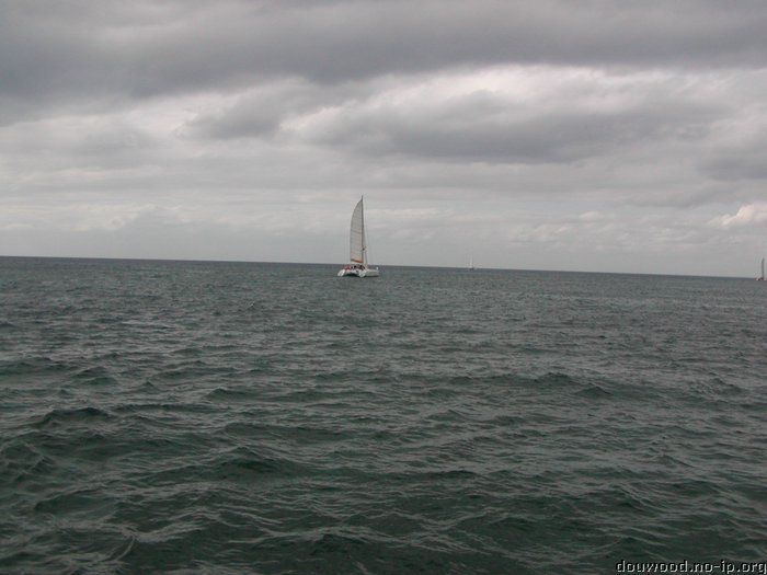 P2154541.JPG