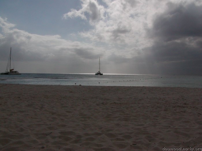 P2154543.JPG