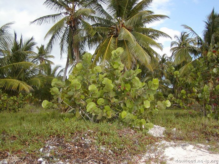 P2154550.JPG