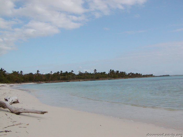 P2154554.JPG
