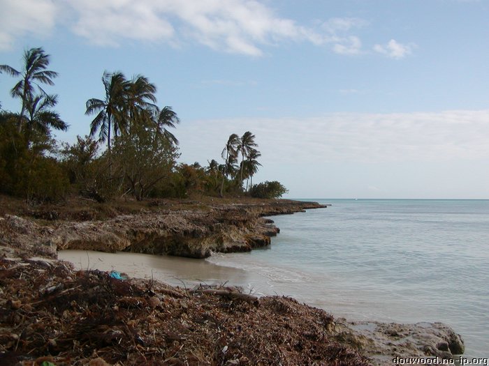 P2154560.JPG