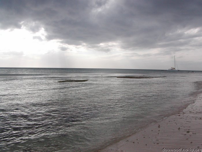 P2154564.JPG