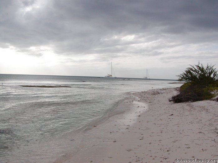 P2154565.JPG