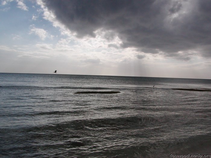 P2154566.JPG