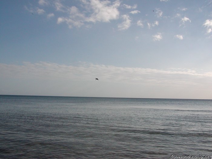 P2154567.JPG