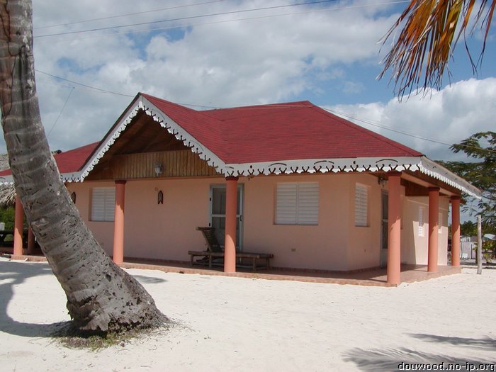 P2164587.JPG