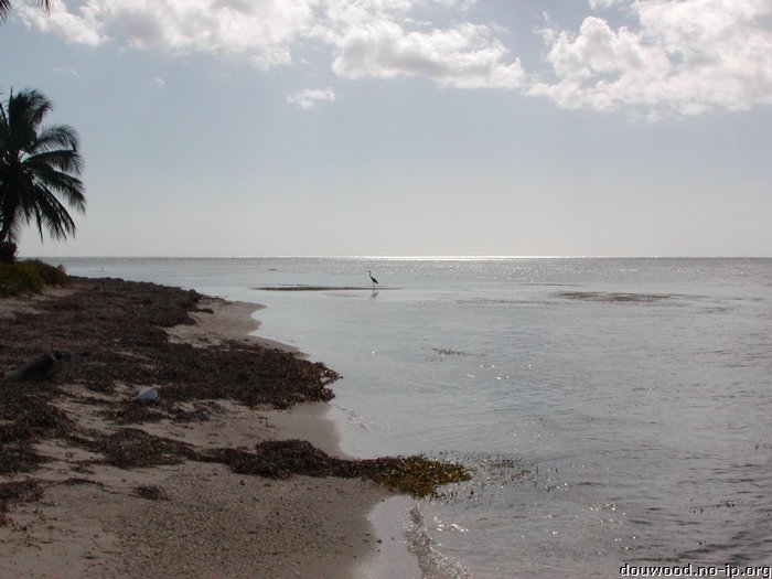 P2164596.JPG