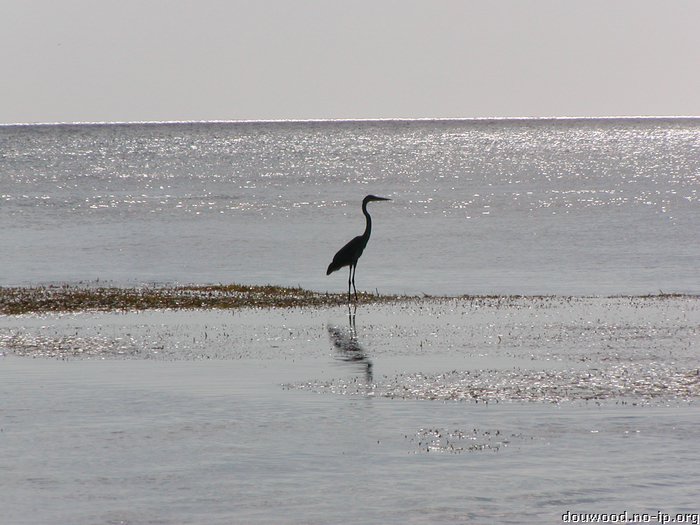 P2164600.JPG