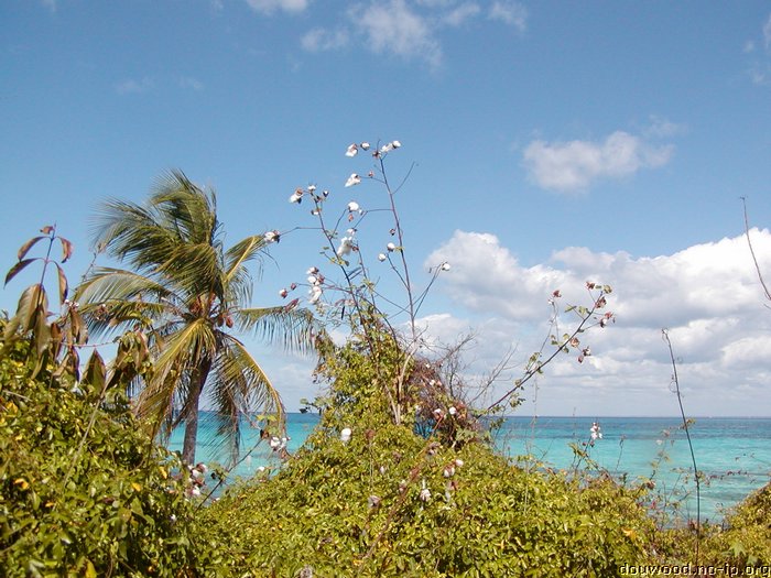 P2174670.JPG