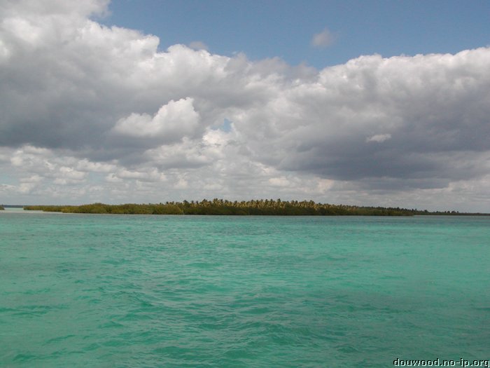 P2174705.JPG