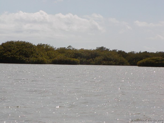 P2174758.JPG