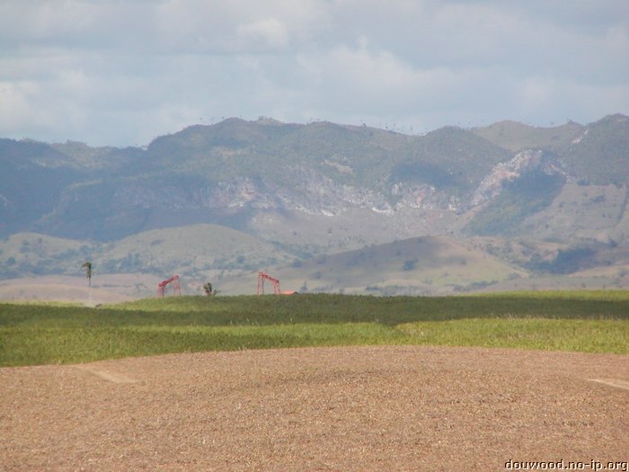 P2184803.JPG