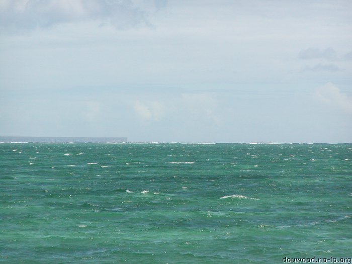 P2194869.JPG