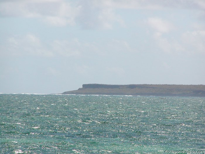 P2194871.JPG
