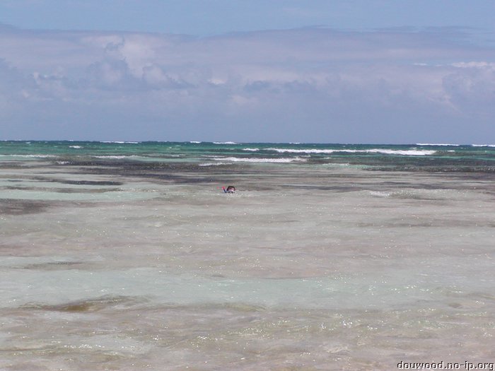 P2194874.JPG