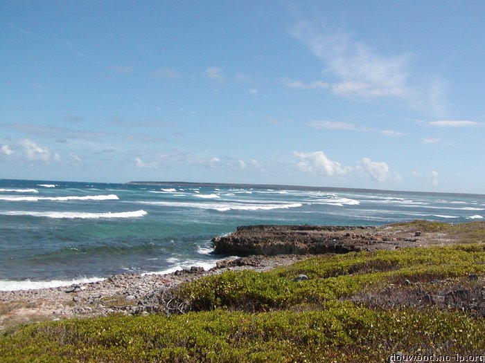 P2194898.JPG