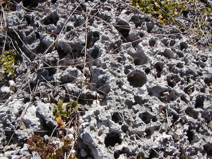 P2194900.JPG