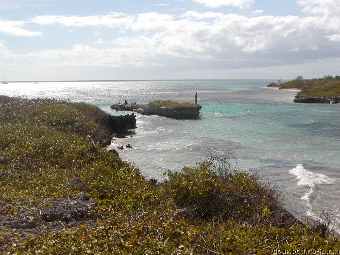 P2194915.JPG